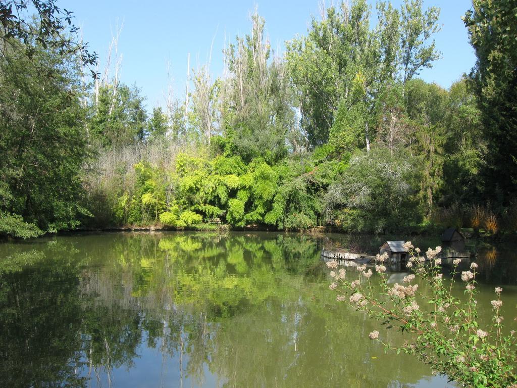 Bed & Breakfast Le Moulin Neuf Saint-Alvère Zewnętrze zdjęcie